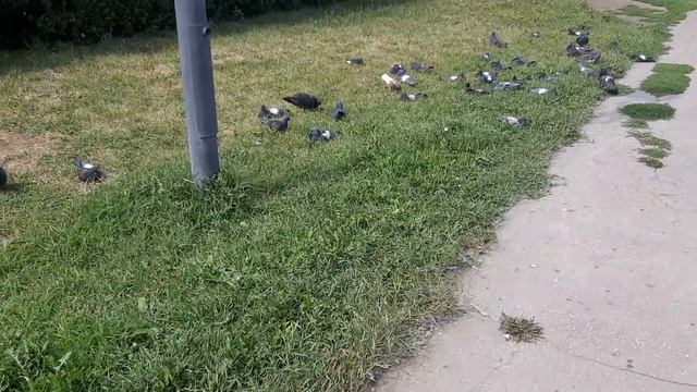 Гули. Сон час ) смотреть онлайн