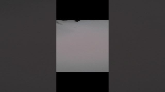 Зимовка пчел _ У природы нет плохой погоды - снега навалило с полметра и сверху дождичком полило