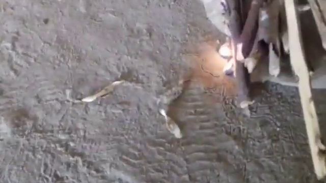 Как сделать костёр смотреть онлайн