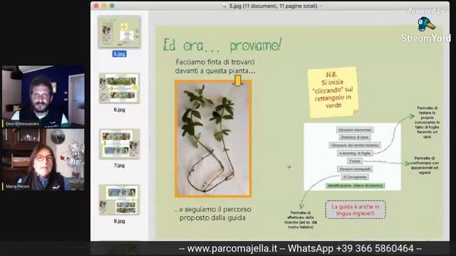 Guida alle Piante legnose смотреть онлайн