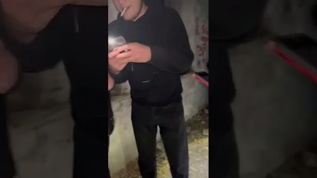 HALLOWEEN | VRN | 2023 смотреть онлайн