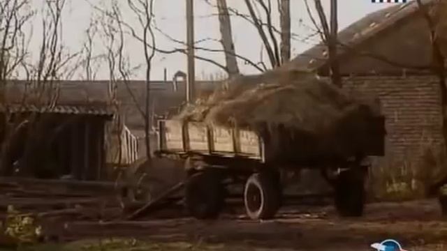 Подземные цивилизации  Необъяснимо, но факт