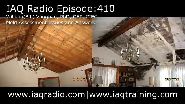 #410: William(Bill) Vaughan, PhD, QEP, CIEC – Mold Assessment Issues and Answers смотреть онлайн