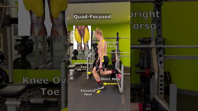 Quad Focused Vs Glute Focused Split Squats #legday смотреть онлайн