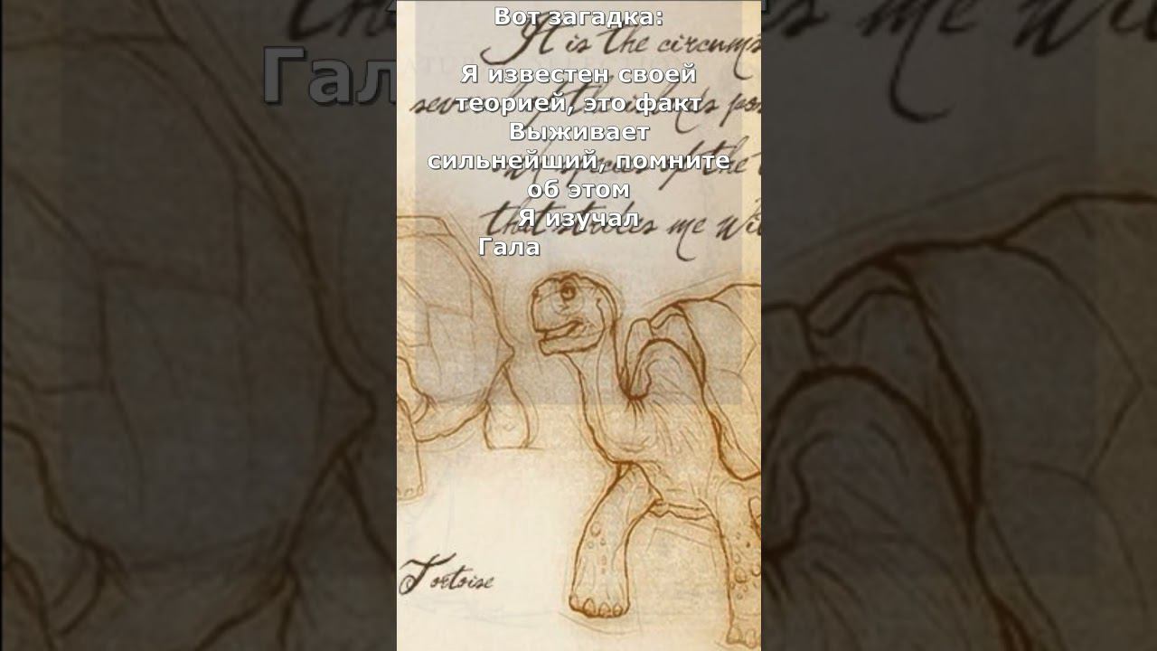 Занимательные люди: Рубрика 