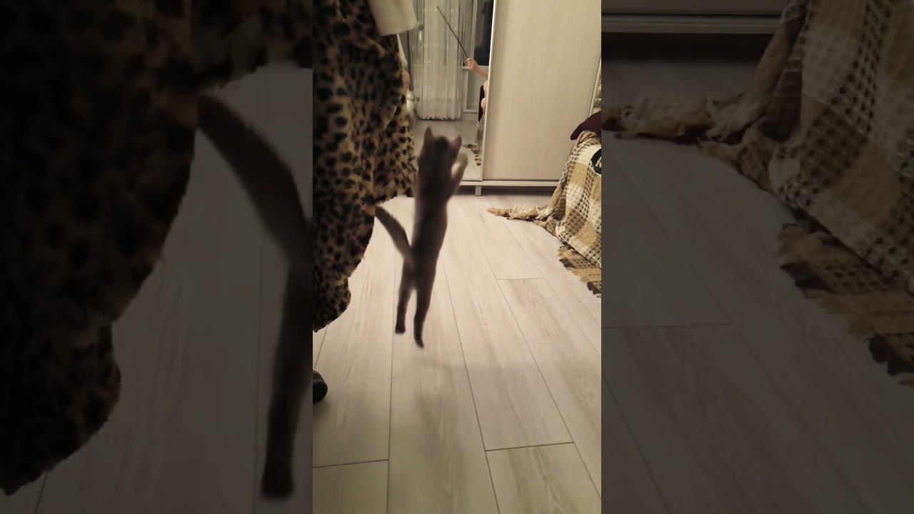 эпичный прыжок #юмор #смешно смотреть онлайн