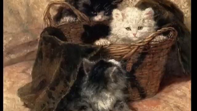 Фокстрот "КОШЕЧКА" смотреть онлайн