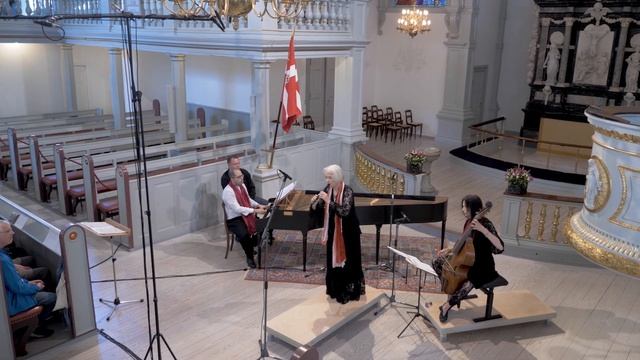 Johann Sebastian Bach: Sonata C Major BWV 1033 - Petri/Perl/Esfahani смотреть онлайн