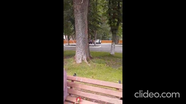 Метроном памяти 2023 п. Рыбачий смотреть онлайн