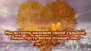 Анна Герман - Я жду весну. Караоке. Минус. German   Ya jdu vesnu +