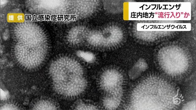 庄内地方で早くもインフルエンザ流行　患者は全てA型　山形県 смотреть онлайн