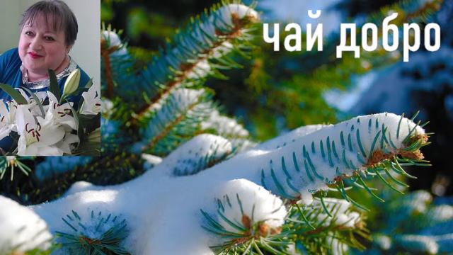 Стрим бот с вами смотреть онлайн