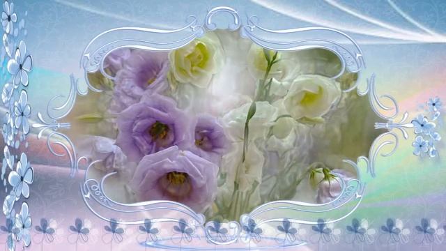 Цветы для любимых женщин смотреть онлайн