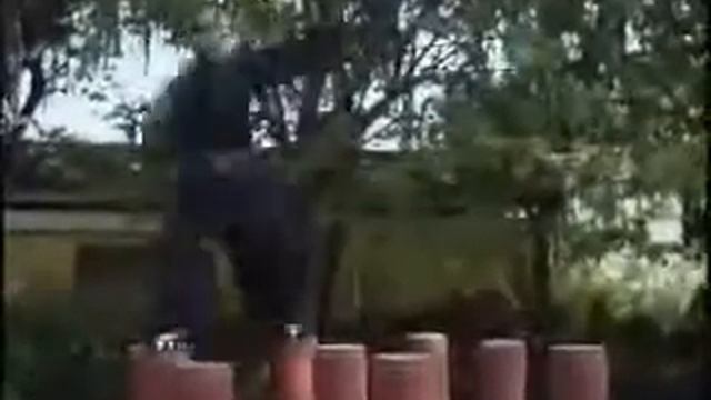 Работа на столбах одна из старых форм тренировки  в багуачжан (цзюгун чжуан гун / 九宫桩功).