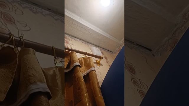 пожарная сигнализация (у меня новый телефон, поэтому другой канал) смотреть онлайн