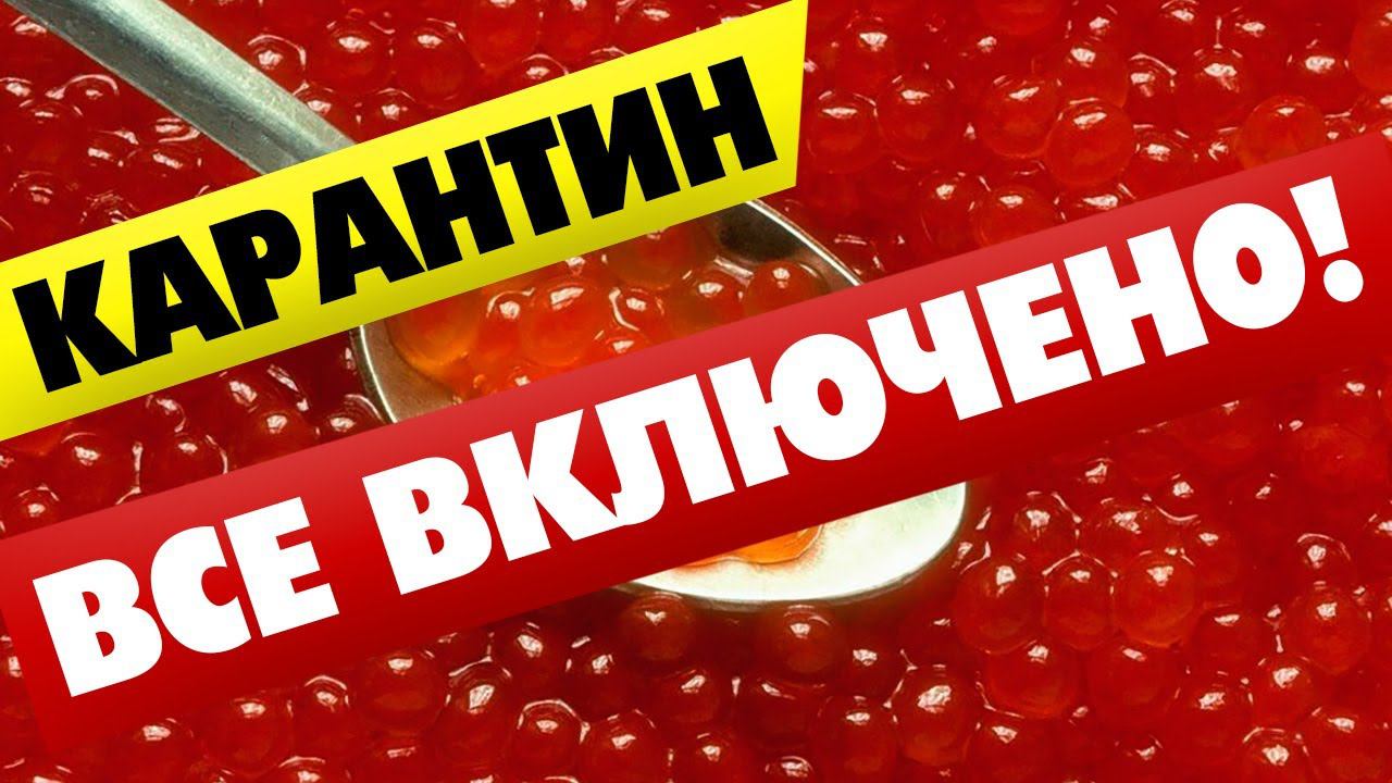 Самоизоляция для Богатых ВСЕ ВКЛЮЧЕНО! смотреть онлайн