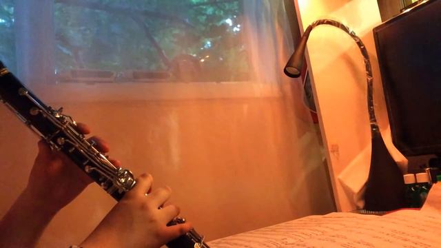 Basin Street Blues | Clarinet Music Video смотреть онлайн