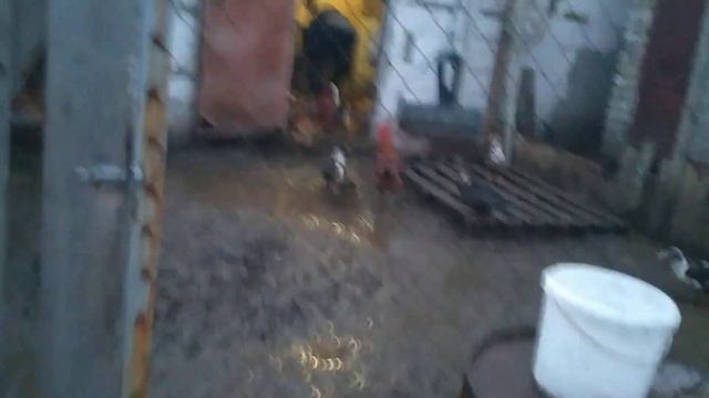 у природы нет плохой погоды и нам ненастье не почём. смотреть онлайн