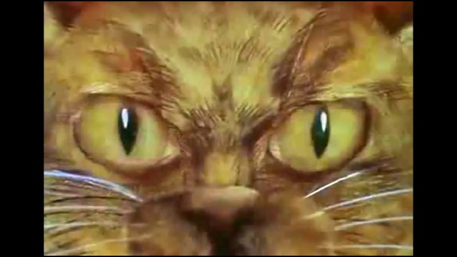 Трейлер "Воробьишко" ( по сказке М. Горького) смотреть онлайн