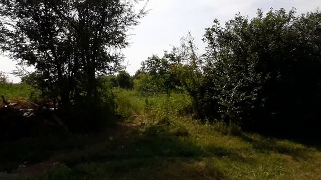 #Балашов. Саратовская область. Увиденное очень расстроило. смотреть онлайн