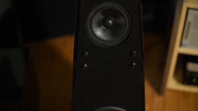 One of the best sounding speakers in my room. Incredible Gershman Grande Avant Garde speakers! смотреть онлайн