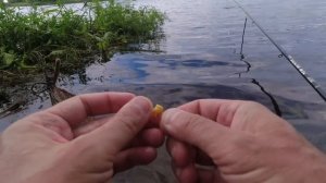 На что ЛУЧШЕ ловить РЫБУ летом. Рыбалка на поплавок.