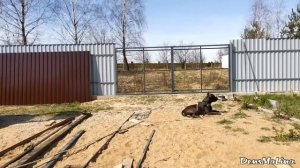 Ворота распашные из профиля своими руками