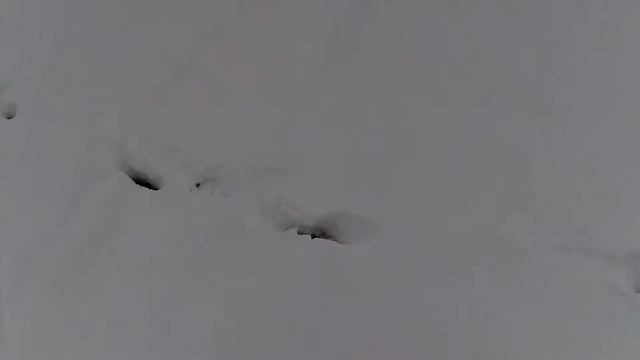 2016. Весна. Карелия. Карельский шадрапобубнёж 1. смотреть онлайн