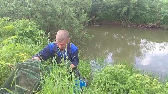 Ловля рыбы на раколовку смотреть онлайн