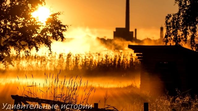 Вдовец-хирург купил старый дом в глухой деревне. Но когда ночью из колодца раздался дикий вой... смотреть онлайн