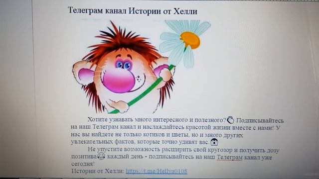 Телеграм канал Истории от Хелли смотреть онлайн