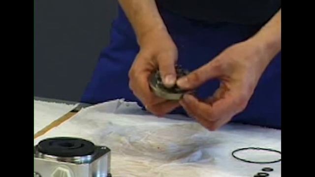 How to dismantle and assemble Grundfos BMP 0.2-1.2 & 0.3N-2.1N pumps смотреть онлайн