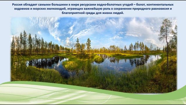 «Гармония мира и природы» смотреть онлайн