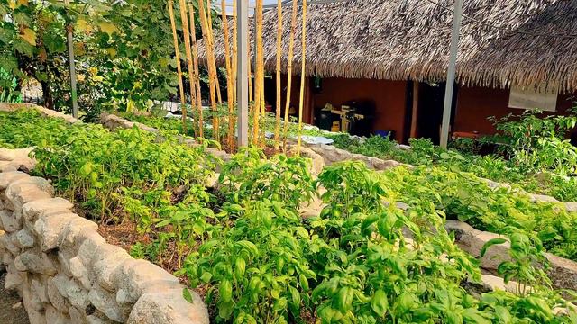 Osa Peninsula: Costa Rica's Most Romantic & Sustainable Getaway смотреть онлайн