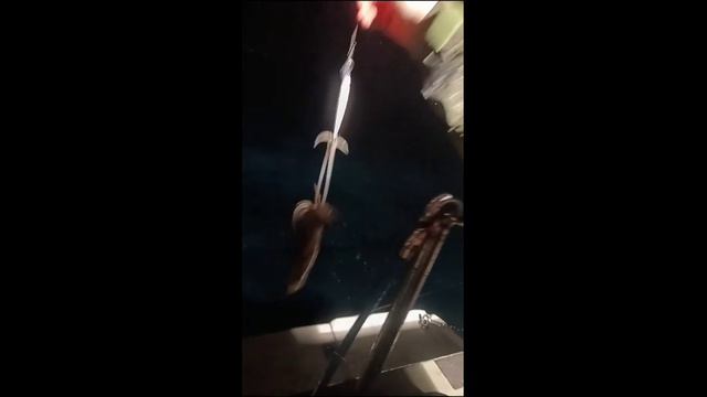 Ловля кальмара на воблер 100 мм 27 гр от Mr. Musurok