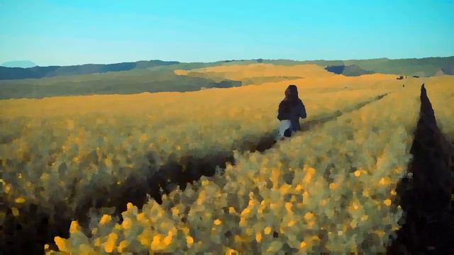 Mike Oldfield Ft. Maggie Reilly - Moonlight Shadow