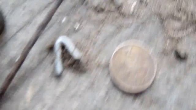 В поисках клада старый хутор в лесу и первое золото в две тыщи семнадцатом смотреть онлайн