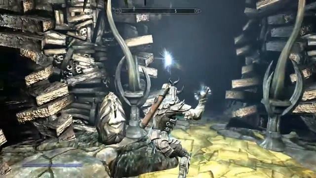 TES 5: Skyrim #Dragonborn - Чёрная книга: Болезненный регент