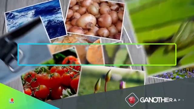 DXN Modules Video Series – 1) Ganotherapy смотреть онлайн