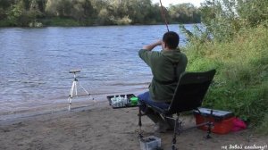 река ЛУГА КУРОВИЦЫ рыбалка с комфортом на фидер, конец лета