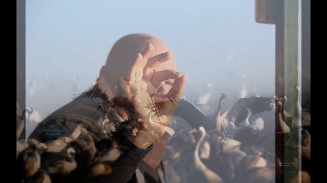 мальчик облако превратились в серых журавлей смотреть онлайн