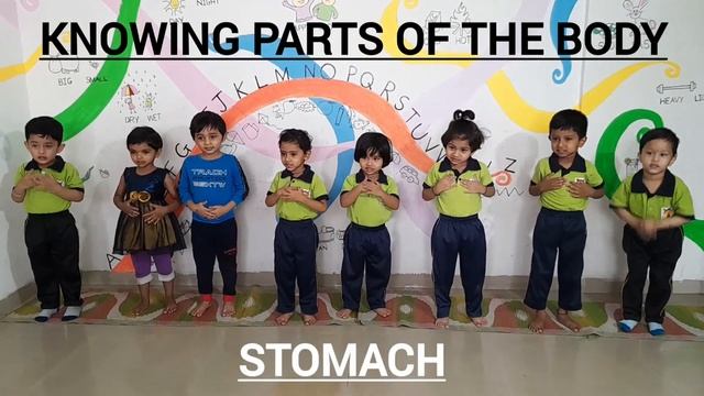 Revising parts of the body. Our playgroup stars 2023 смотреть онлайн