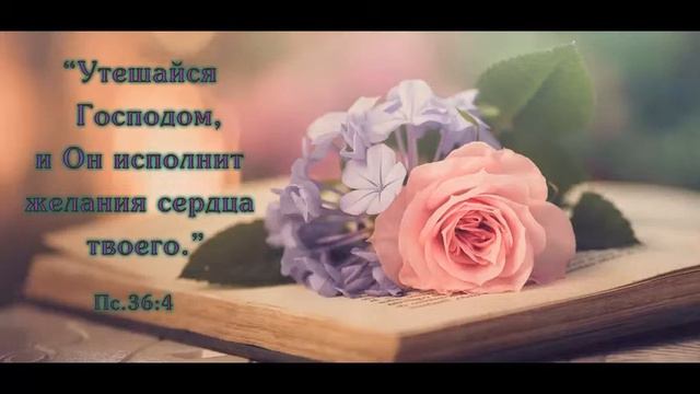 Песня для Лиды