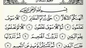 Айман Сувейд. сура Такасур. Прекрасное чтение