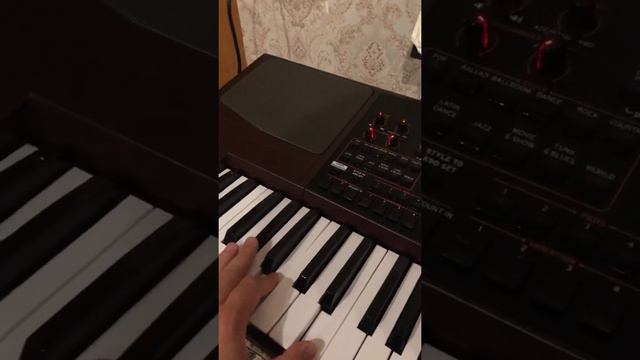 Стили для Корг па 1000 ( pa 1000) смотреть онлайн