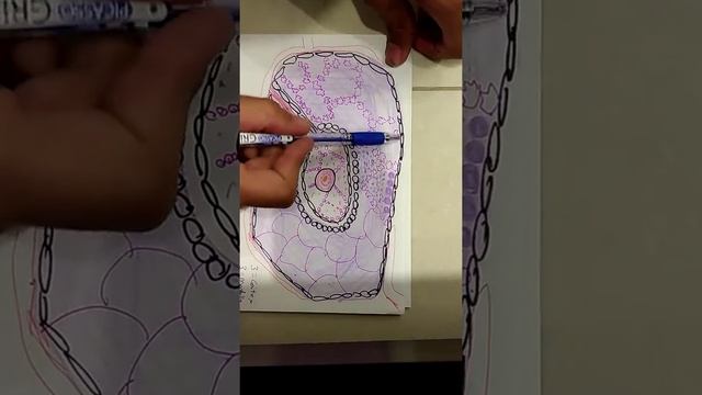 Histology of thymus смотреть онлайн