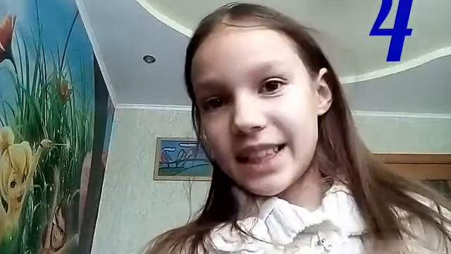 6 фактов о Йоркширских терьерах смотреть онлайн