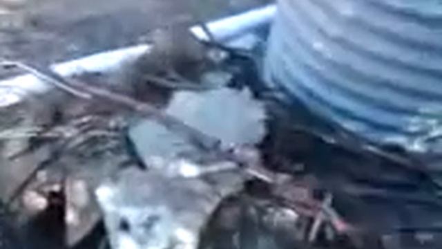 DEATH from above and psycho sabre saw! смотреть онлайн