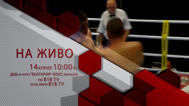 НА ЖИВО: ДЛШ и купа "България" - Бокс на 14-ти Април от 10:00 часа смотреть онлайн