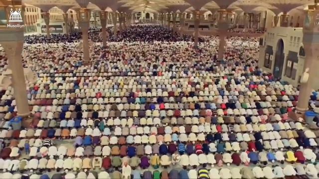 Зачем мусульманин не празднуют Новый год ??♂️??@expand_official смотреть онлайн